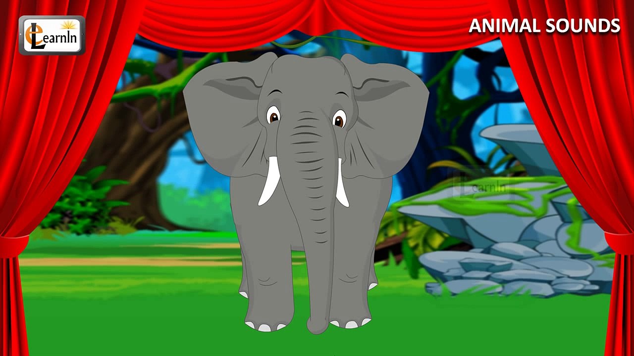 sounds-of-animals-animal-sound-effects-of-real-animals-kindergarten