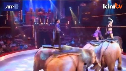 法国冬季马戏团80岁了！  保留传统创新表演