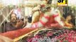 Sakhi Lal Shahbaz Qalandar Sai By Medam Shaheen Kanwal Vol 1 Sp Gold 2015