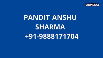 VISA PROBLEMS SPECIALIST  91-9888171704