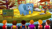 Elephant Finger Family  ChuChu TV Animal Finger Family Songs & Nursery Rhymes For Children