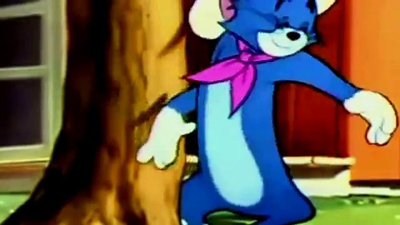 tom and Jerry Cartoon tom and jerry posse cat