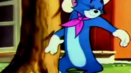 tom and Jerry Cartoon tom and jerry posse cat