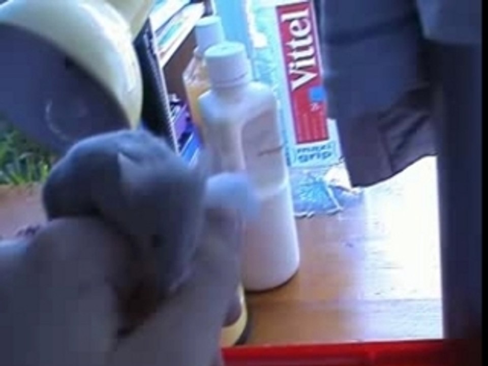 Souris de mathis