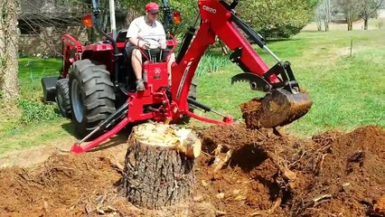 Dead Tree Stump Removal with Massey Ferguson 1635/CB 20 Backhoe