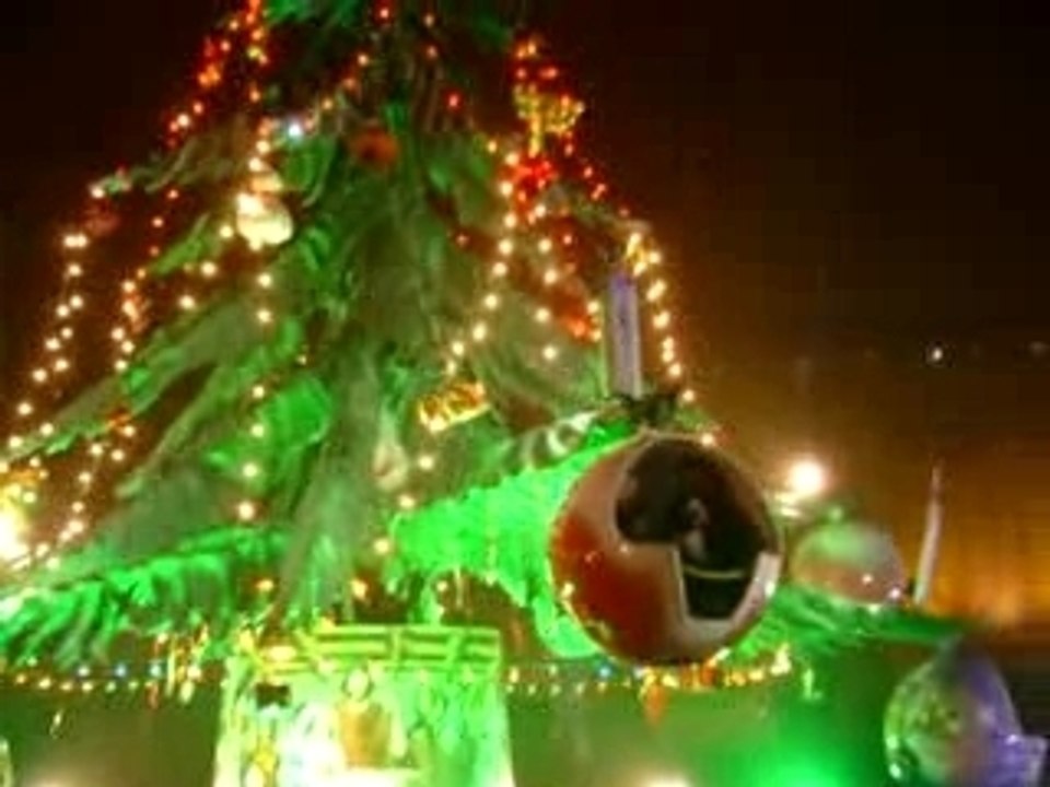 Jerico dans le sapin magique...