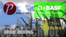 Corn School - Tips for Planting in Wet Conditions