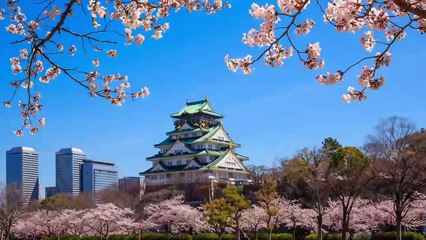 Understanding Japan: A Cultural History | The Great Courses