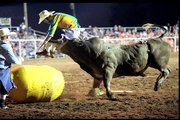 Dusty Tuckness 2013 NFR Bullfighter - Promo Video