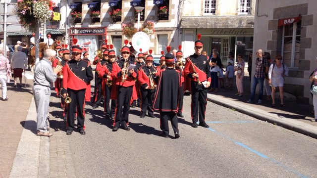 Défilé des chevaux dans le centre-ville