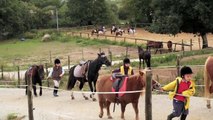 Centre Equestre de Bilaire : l'Equitation au coeur de Vannes