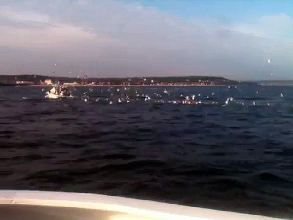 Navette Le Havre - Deauville Trouville