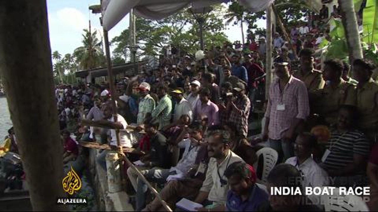 On Al Jazeera: The disappearing bee, India's boat race, a new app's virtual wildlife safari