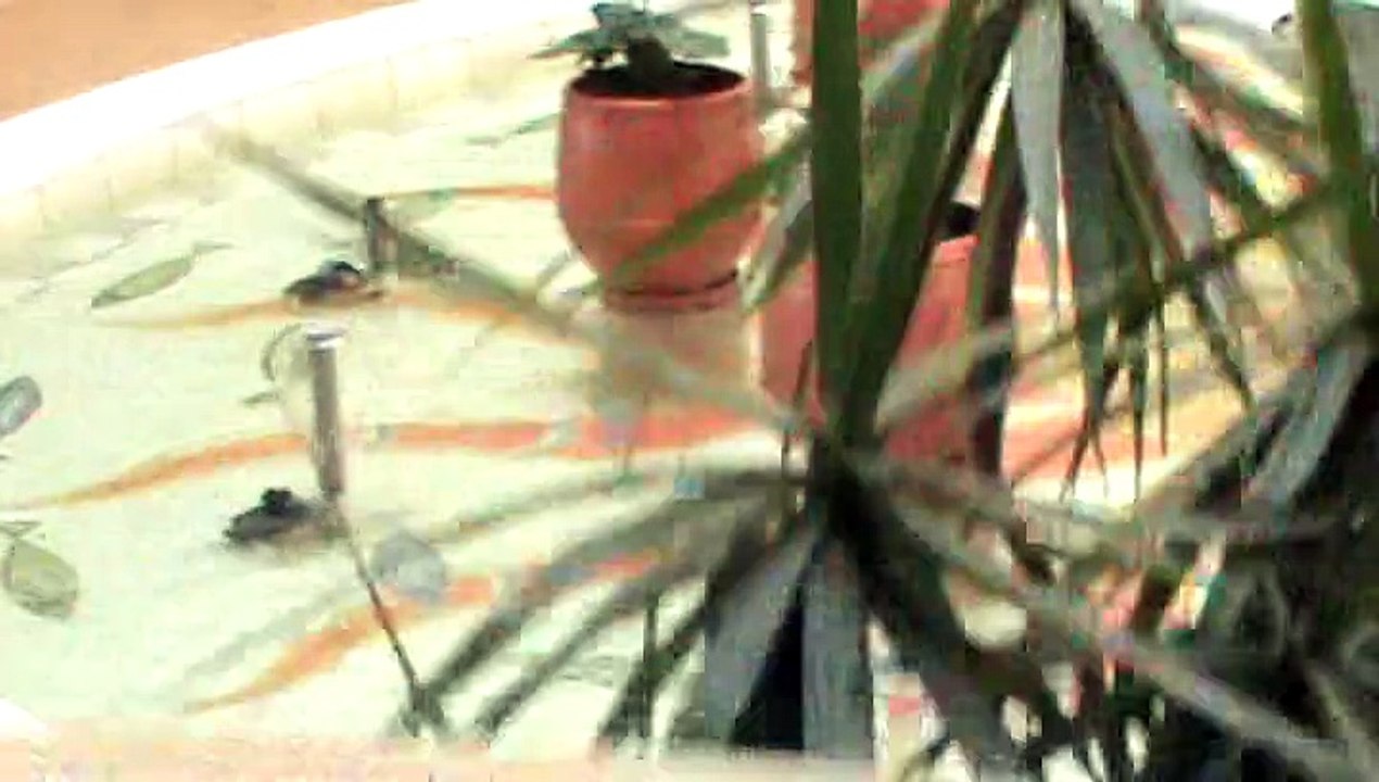 Riu Palace Hammamet Marhaba Hammamet, Tunesien Zimmer (7)