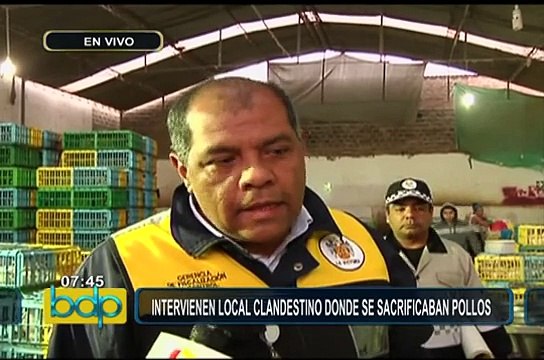 La Victoria: intervienen local donde mataban pollos en pésimas condiciones
