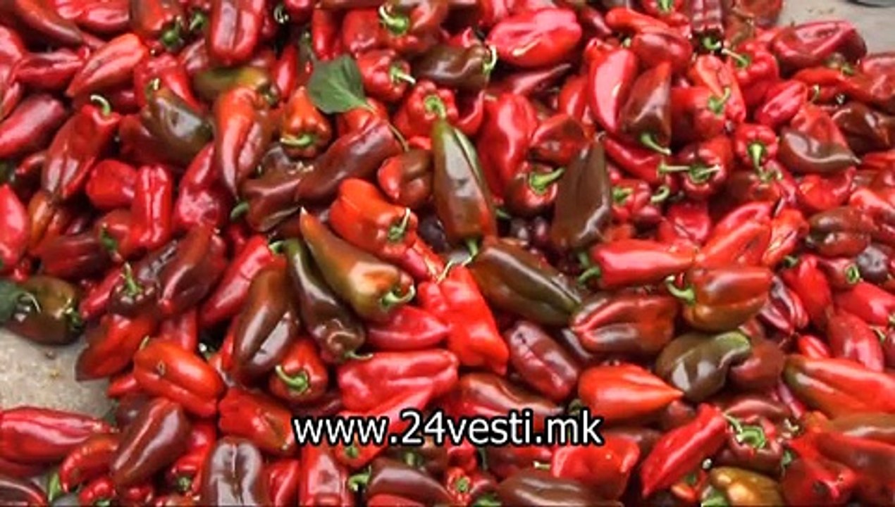 OTKUP NA PIPERKI VO STRUMICA 09 08