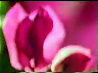 Jo Naam Wohi Pehchan Pakistan - Nayyara Noor