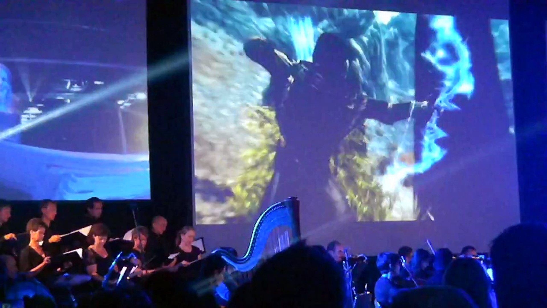 Video Games live - Skyrim - 07.08.15
