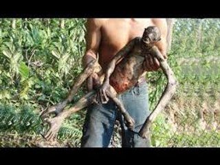 Unknown Creature Found in Amazon