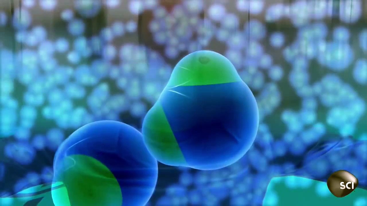 Synchronized Swimmers Demonstrate Water Molecule Behavior | Through the Wormhole with Morgan Freeman