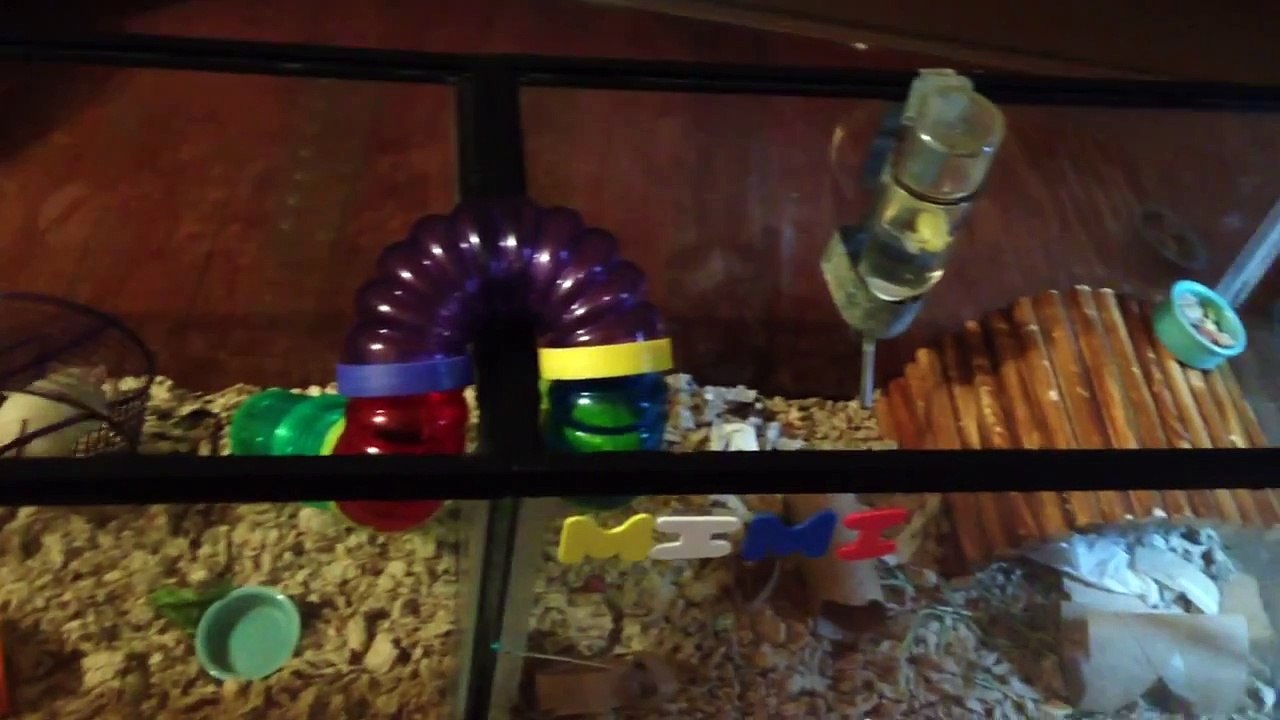 Mouse Cage Tour (July 2014)