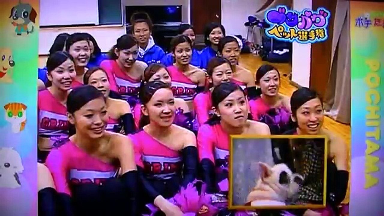 ポチたま  ブサかわペット選手権