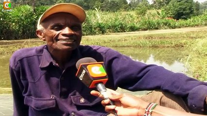 Smart Farm:  Tilapia Fish Farming