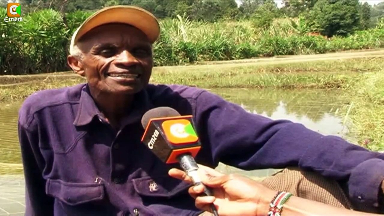 Smart Farm:  Tilapia Fish Farming