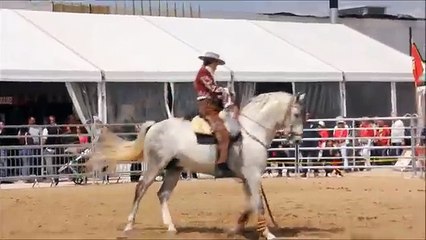 Spectacle Equestre, Solo Garrocha  Genio XXVII (1)