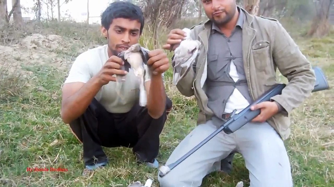 Air Rifle Dove Hunting After Game video Dailymotion