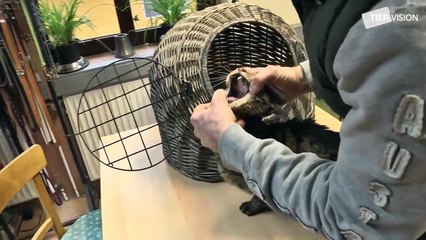 Tierheim Köln Dellbrück - ein Portrait