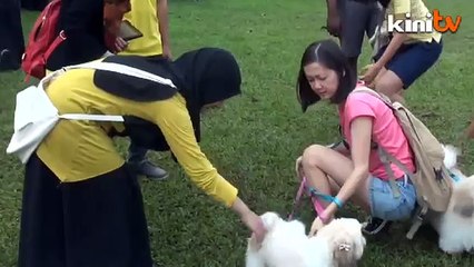 Aktivis cadang kempen 'I Want to Touch a Dog' di Putrajaya