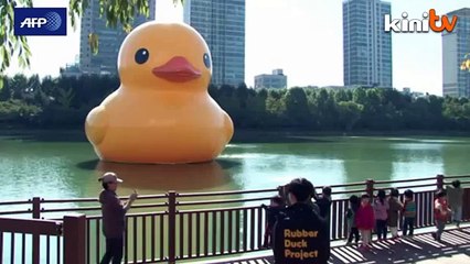 Itik getah gergasi tiba di Seoul