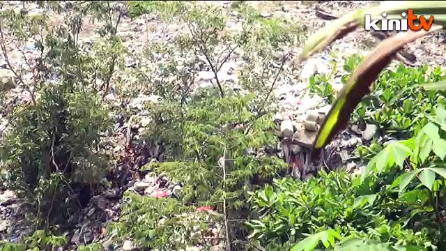 Expert doubts Pangkor incinerator safety