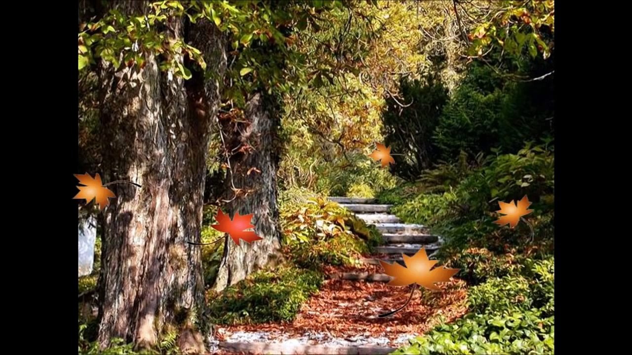 Kocham Cię latem, kocham zimą-PAWEŁ SOBOTA