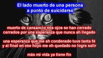 Sin ganas de nada ni vivo ni muerto schrödinger  rap