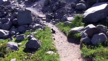 Mount Rainier - Marmots Fight