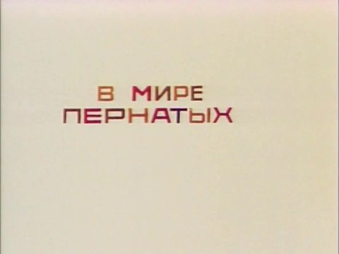 В мире пернатых (1974)