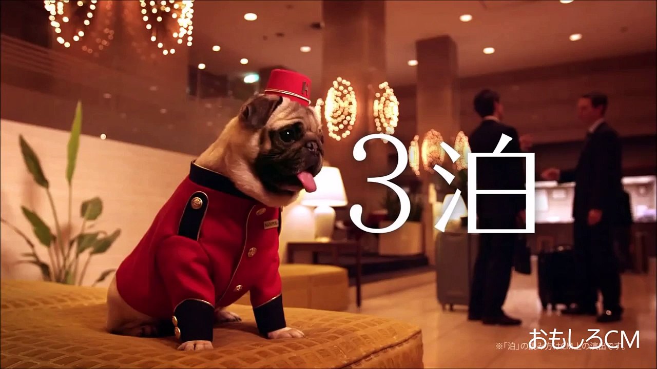 ホテルズドットコム ジャパン hotels com CM