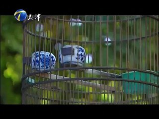 20150809 China Right Here   我是老八路