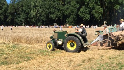 La fête du blé bat son plein