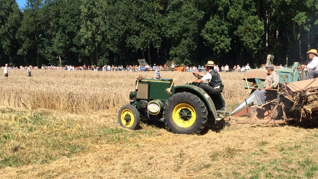 La fête du blé bat son plein