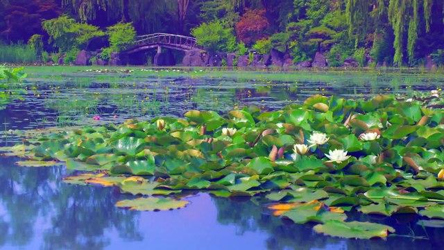 [MV] Apink(에이핑크) _ Petal(꽃잎점)