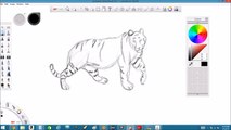 Drawing Cartoon Tiger