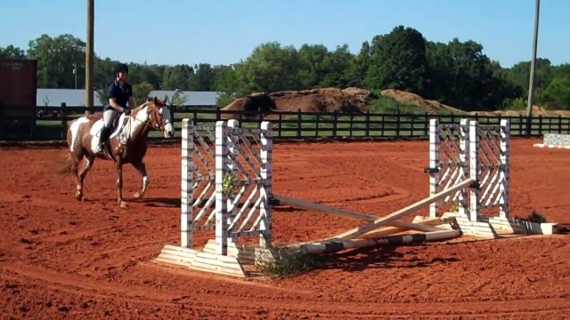 Quarter Horse Paint Mare for Sale