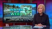 Are marijuana growers sucking California dry?