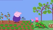 1.37 Lunch - Свинка Пеппа (Peppa Pig) на английском | Peppa Pig russian