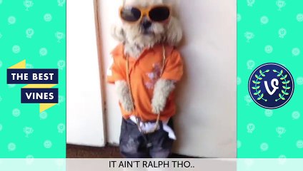 NEW Best Vines of 2015 - FUNNIEST Dinky Vine Compilation