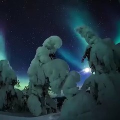 magical northern lights