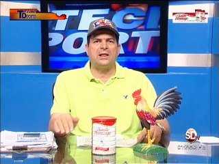 Programa-TECNODEPORTES-Martes-4-Agosto-Coliseo-Gallistico-San-Fco.-Macoris